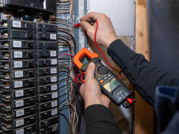Best Electric Panel Repair  in Lockport, IL